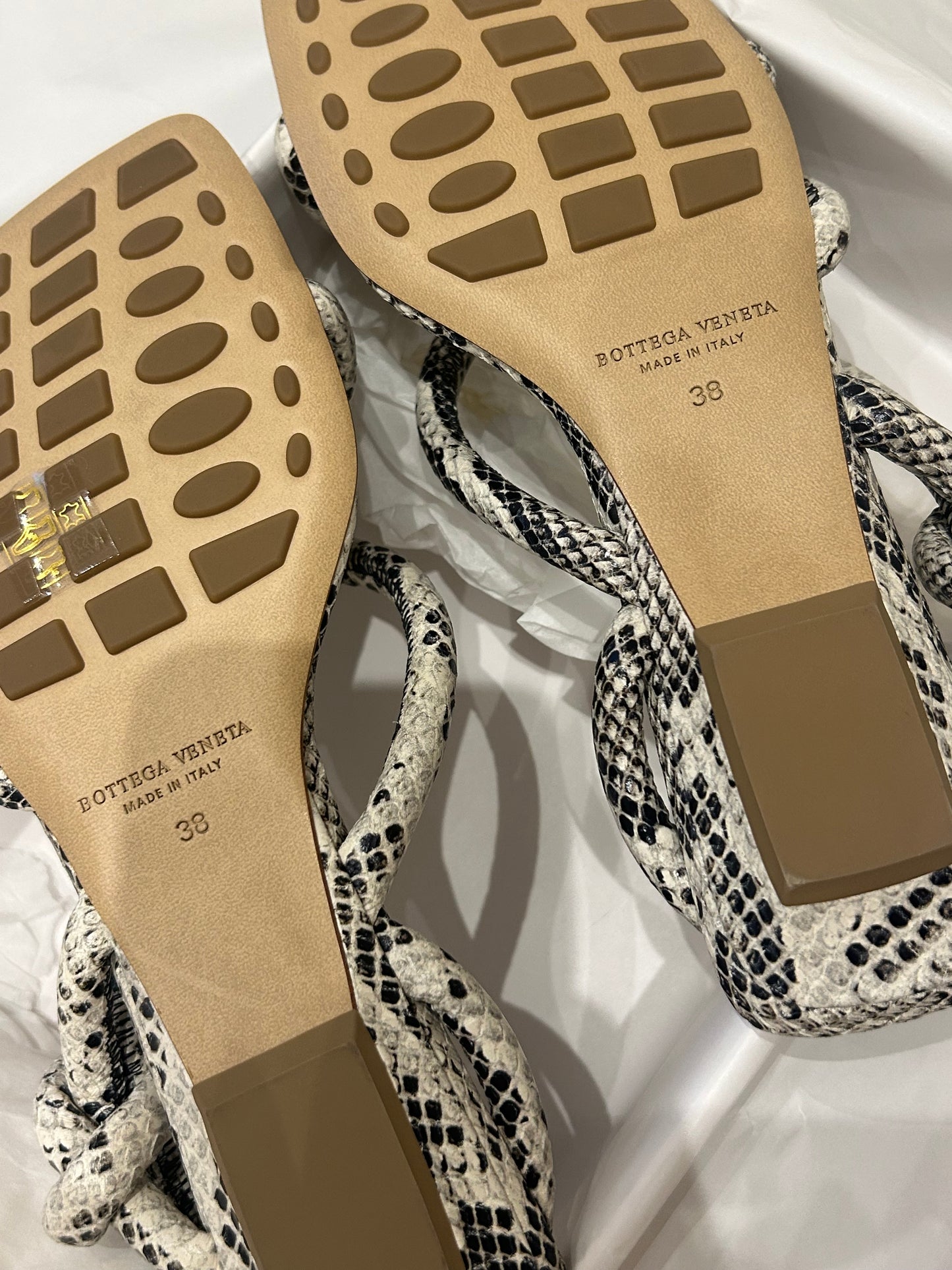 Jimbo flats python