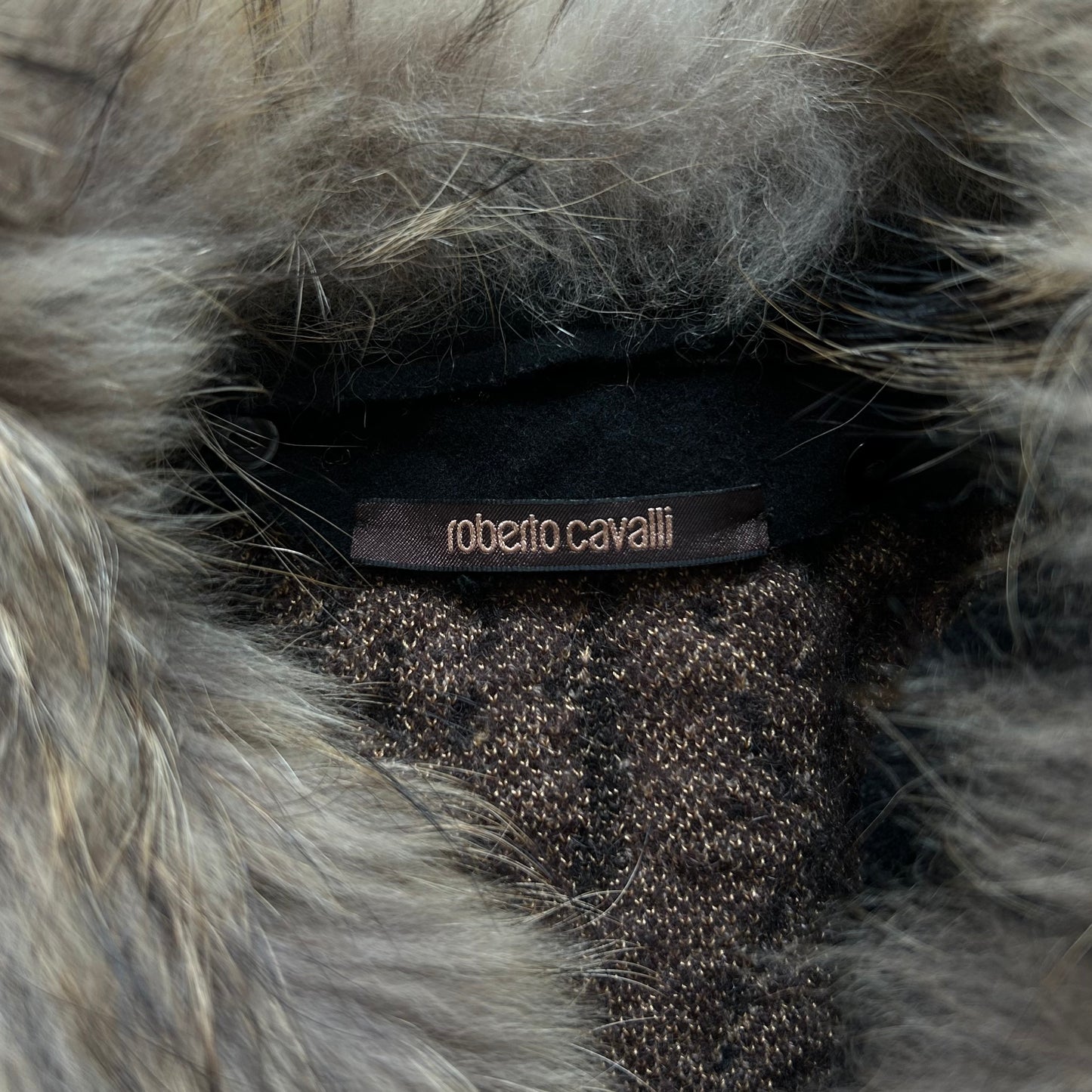Leo coat fur collar