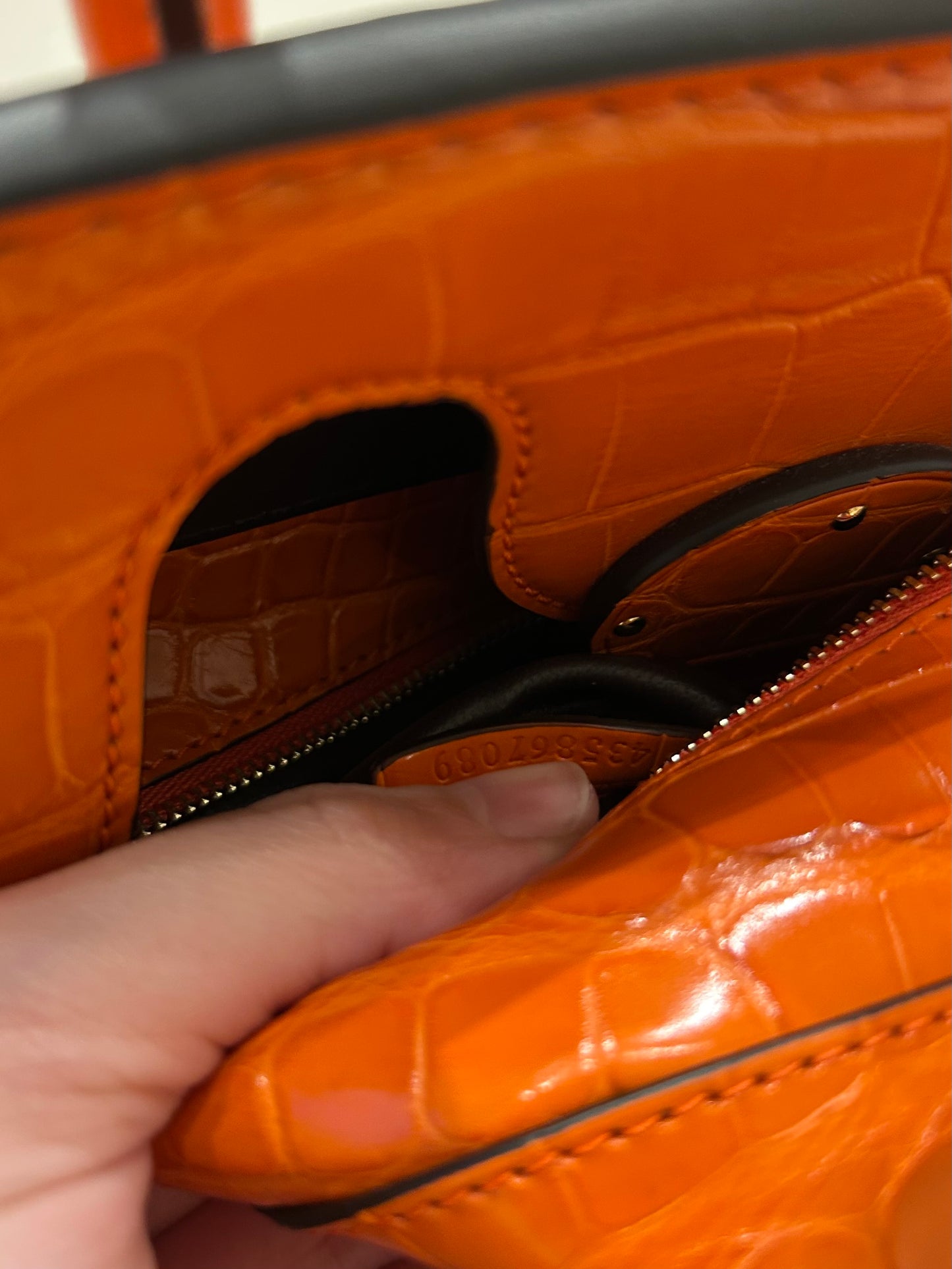 Ricky 33 orange alligator