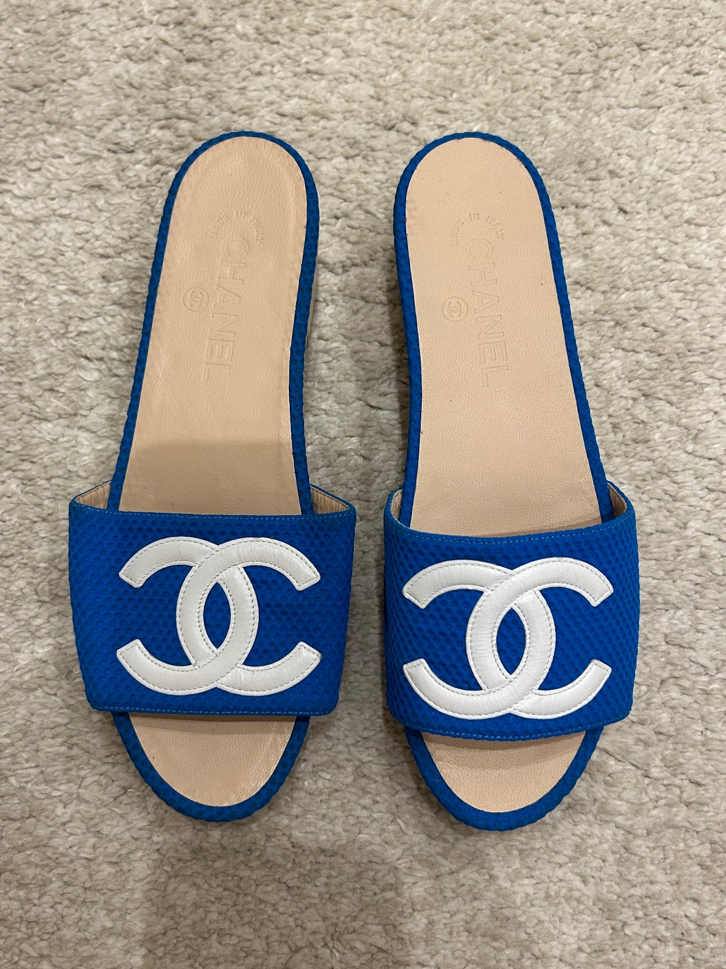 Blue clog logo