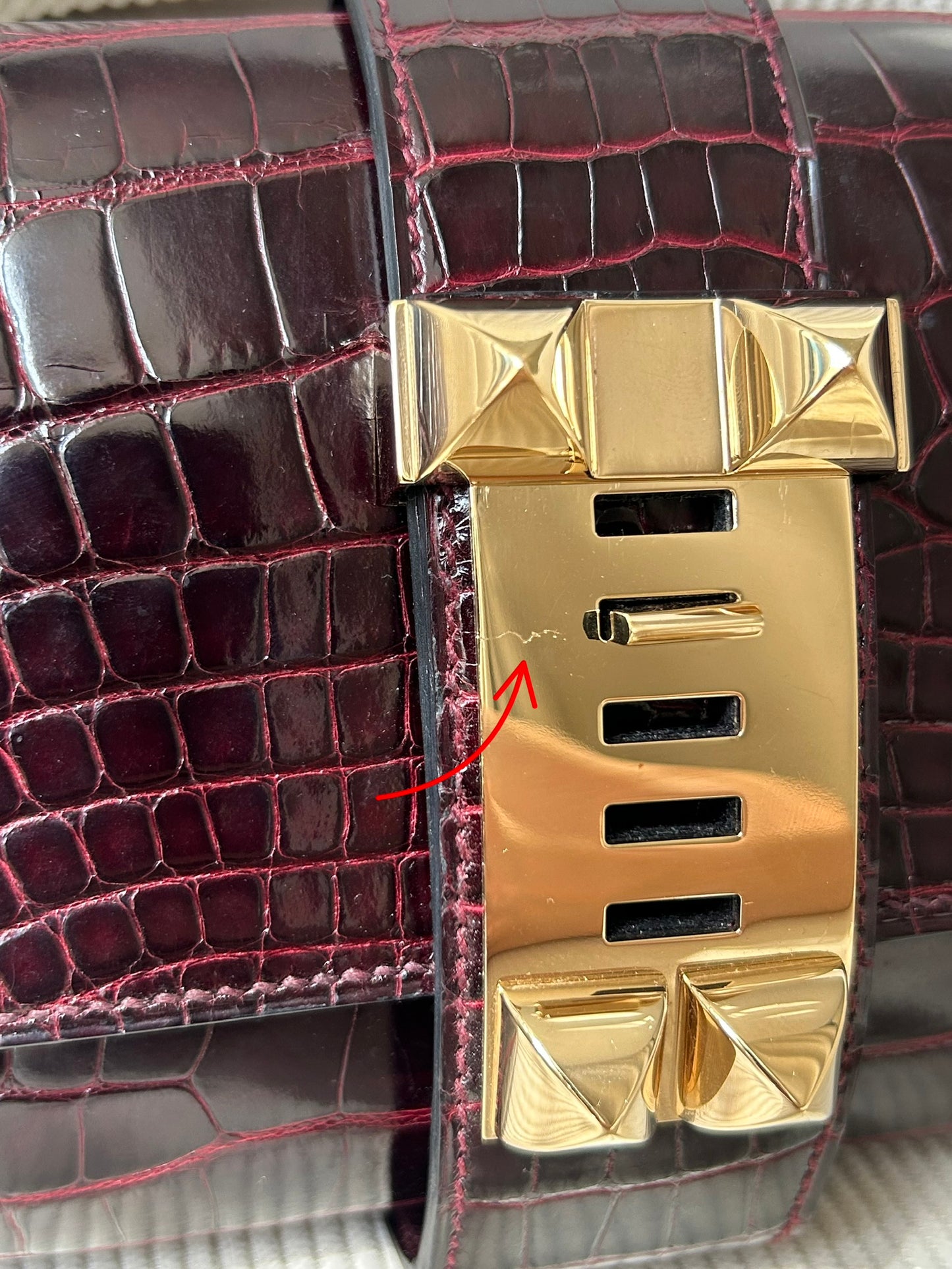 Médor shiny burgundy alligator