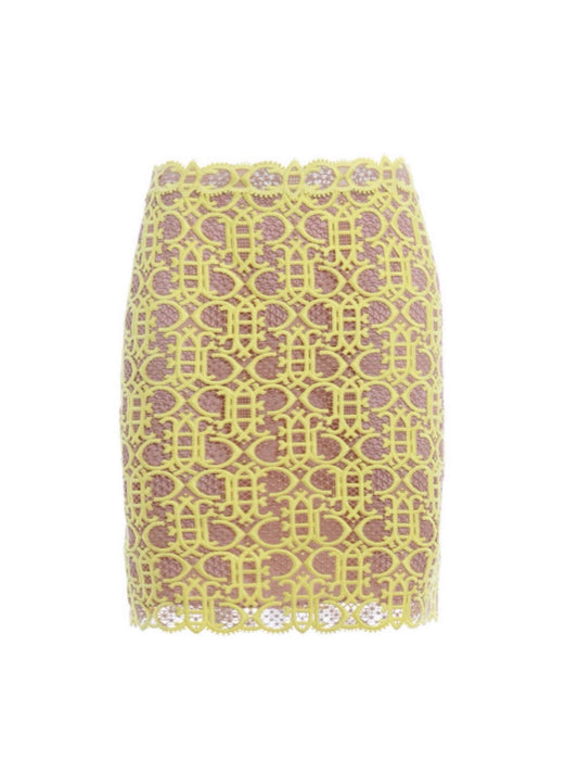 Embroidered skirt