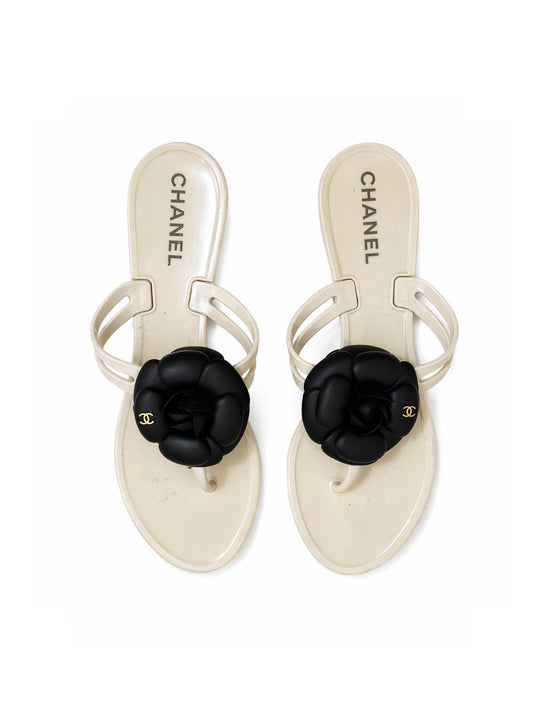 Camelia flip flop cream