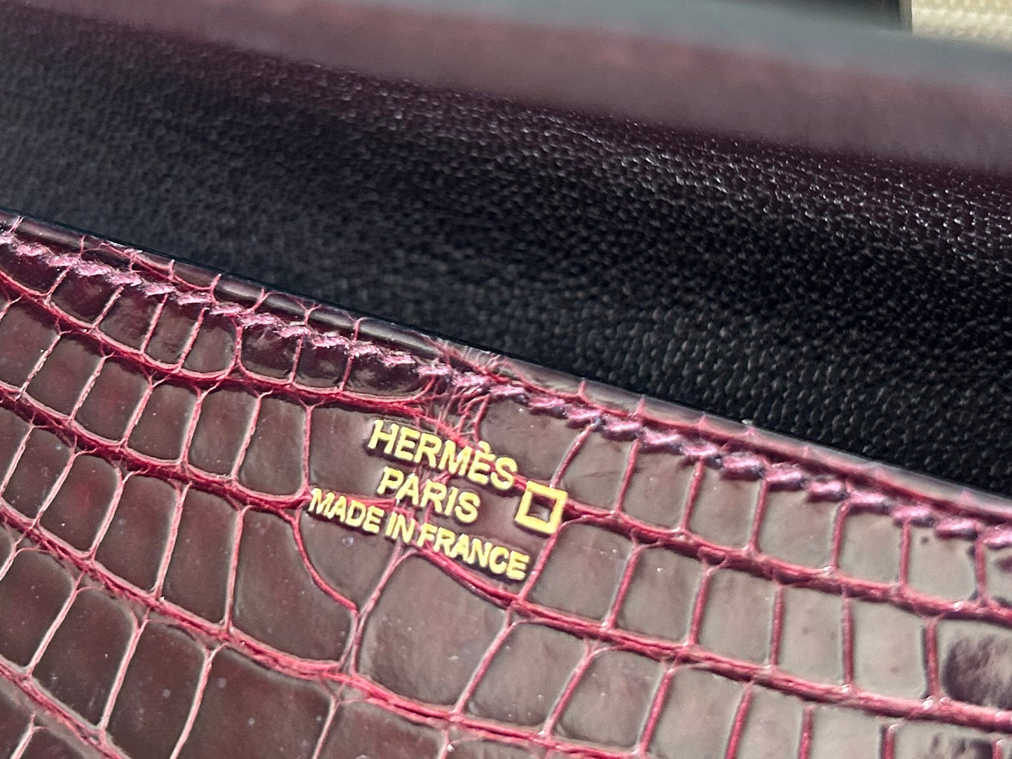 Médor shiny burgundy alligator