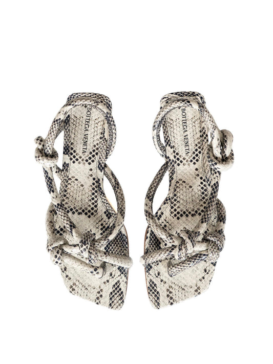 Jimbo flats python
