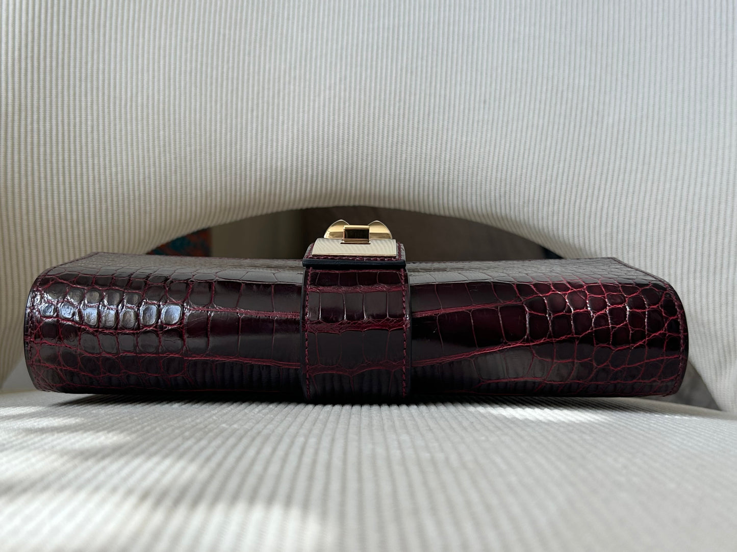 Médor shiny burgundy alligator