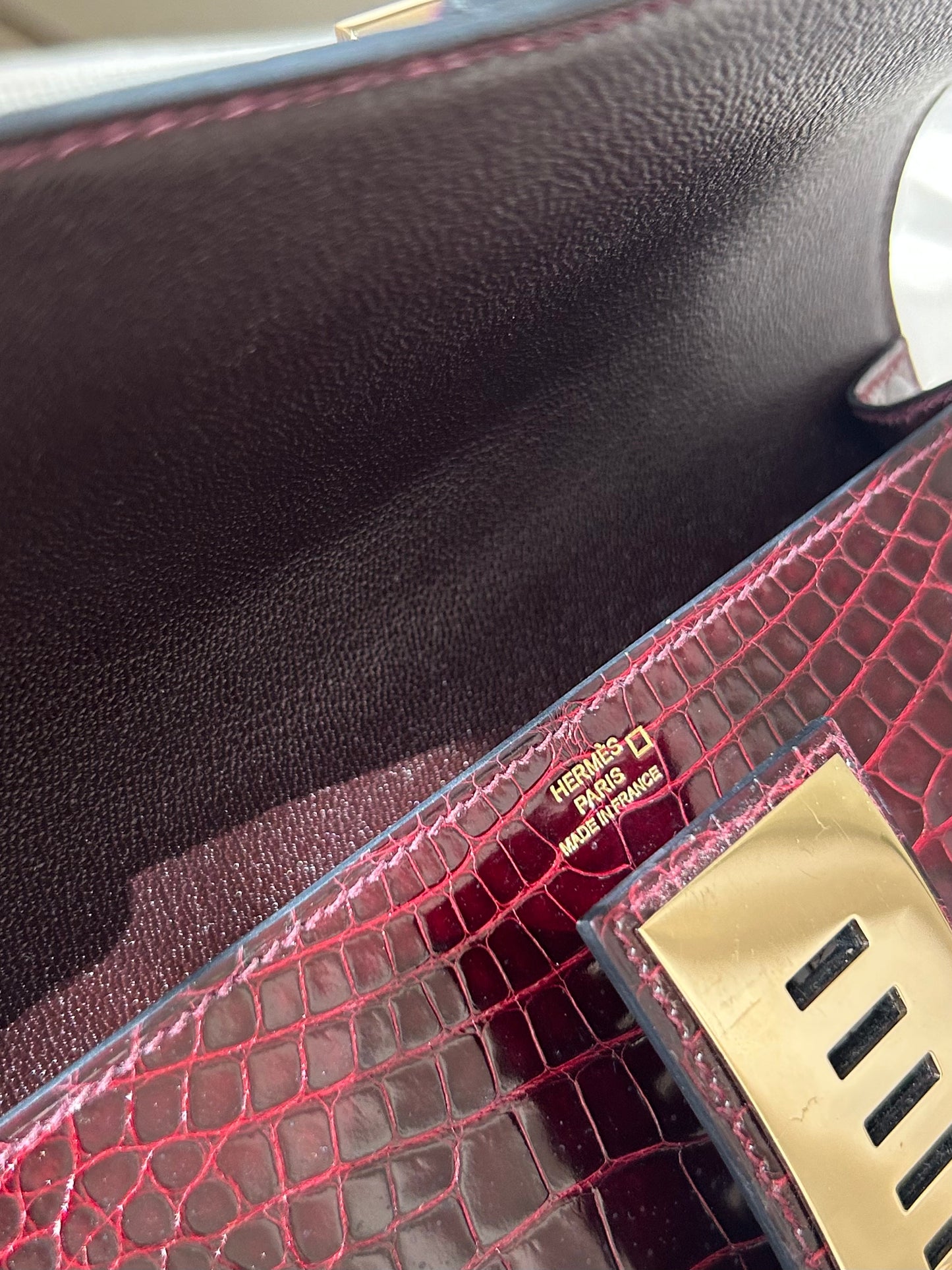 Médor shiny burgundy alligator